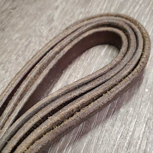 Plain Reins *fair, v.stiff, v.dry, v.rough back, twisted, dirt/film
