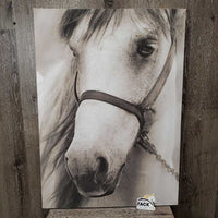 Canvas Horse Photo *vgc, mnr rubbed & frayed edges
