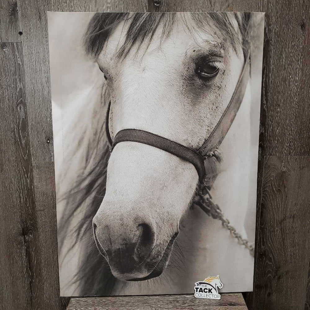 Canvas Horse Photo *vgc, mnr rubbed & frayed edges