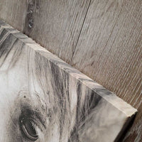 Canvas Horse Photo *vgc, mnr rubbed & frayed edges
