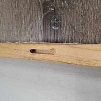 Canvas Horse Photo *vgc, mnr rubbed & frayed edges
