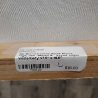 Canvas Horse Photo *vgc, mnr rubbed & frayed edges
