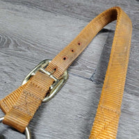 Thick Nylon Halter, snap, adj *gc, v.dirty, faded, stains, edge rubs & frays, thread
