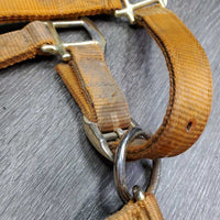 Thick Nylon Halter, snap, adj *gc, v.dirty, faded, stains, edge rubs & frays, thread
