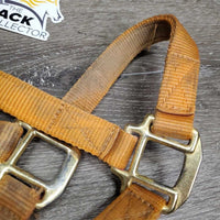 Thick Nylon Halter, snap, adj *gc, v.dirty, faded, stains, edge rubs & frays, thread
