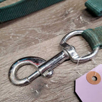 Flat Nylon Lead, loop handle *gc, stained, knotted, shortened
