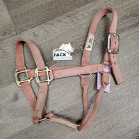 Thick Stiff Nylon Halter *gc, v.faded, discolored, stains, pulled holes, rubs, clean?