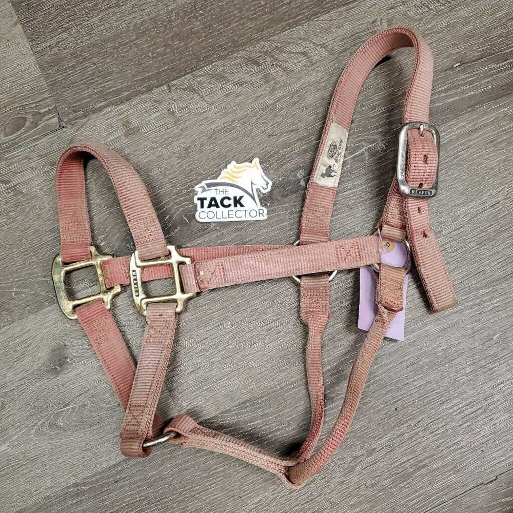 Thick Stiff Nylon Halter *gc, v.faded, discolored, stains, pulled holes, rubs, clean?