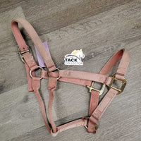 Thick Stiff Nylon Halter *gc, v.faded, discolored, stains, pulled holes, rubs, clean?
