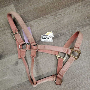 Thick Stiff Nylon Halter *gc, v.faded, discolored, stains, pulled holes, rubs, clean?