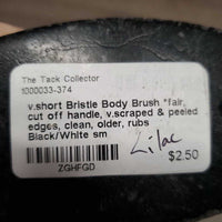 v.short Bristle Body Brush *fair, cut off handle, v.scraped & peeled edges, clean, older, rubs