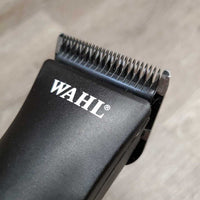 Clippers, Box, oil, brush, 10 Blades *like new, clean, SOUNDS GREAT
