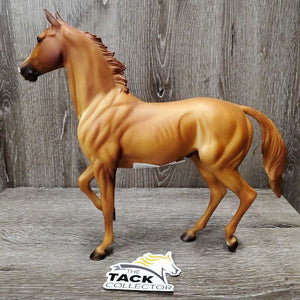#572 "Lonesome Glory" Steeplechase Thoroughbred Stallion *vgc, mnr mark?stain