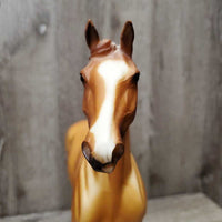 #572 "Lonesome Glory" Steeplechase Thoroughbred Stallion *vgc, mnr mark?stain

