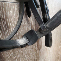 Rsd Leather Bridle, Padded Crown, B5uckles *xc, NO Flash, clean, stiff, dry, mnr creases
