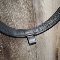 Rsd Leather Bridle, Padded Crown, B5uckles *xc, NO Flash, clean, stiff, dry, mnr creases
