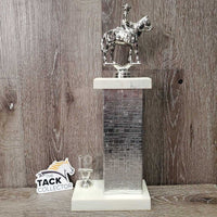 Western Horse & Rider Trophy, "Western Equitation" 1994 *xc, dusty