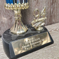 English Horse & Rider Trophy, "English Performance" 1994 *xc, dusty
