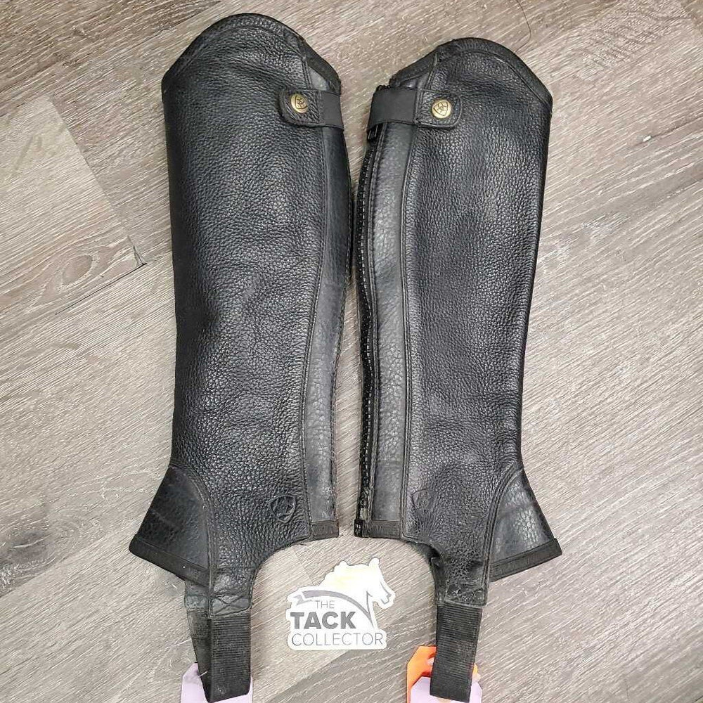 Pr Leather Half Chaps, Back Zips *gc, dirty, rubs, faded, stretched