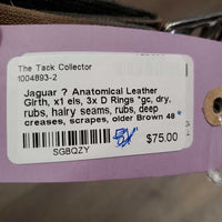 Anatomical Leather Girth, x1 els, 3x D Rings *gc, dry, rubs, hairy seams, rubs, deep creases, scrapes, older