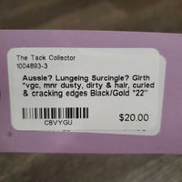 Aussie? Lungeing Surcingle? Girth *vgc, mnr dusty, dirty & hair, curled & cracking edges

