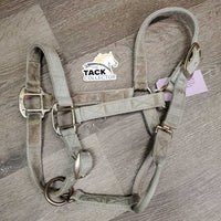Thick Nylon Halter, adj, snap *fair, stains, pulled holes, frayed edges, faded, stained, dirty
