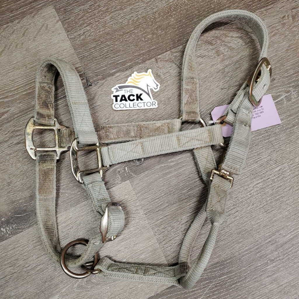 Thick Nylon Halter, adj, snap *fair, stains, pulled holes, frayed edges, faded, stained, dirty