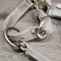 Thick Nylon Halter, adj, snap *fair, stains, pulled holes, frayed edges, faded, stained, dirty