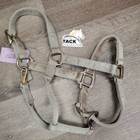 Thick Nylon Halter, adj, snap *fair, stains, pulled holes, frayed edges, faded, stained, dirty