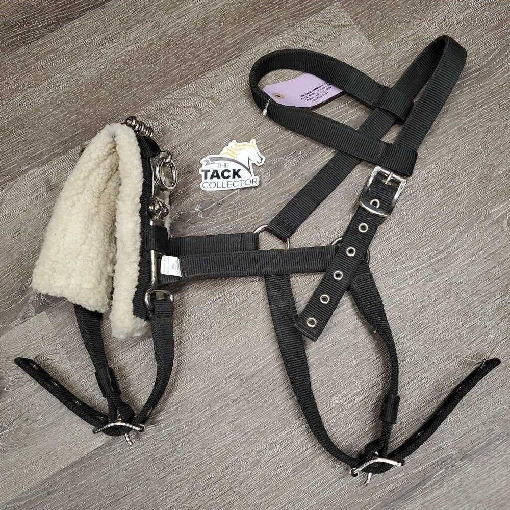 Nylon & Fleece Lungeing Cavesson *gc, clean, hairy, residue, faded, mnr stain