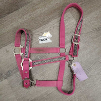 Nylon Halter, adj, snap *gc, dirty, frays, slice/frayed, rust, snags
