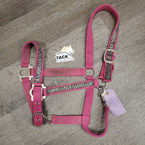Nylon Halter, adj, snap *gc, dirty, frays, slice/frayed, rust, snags