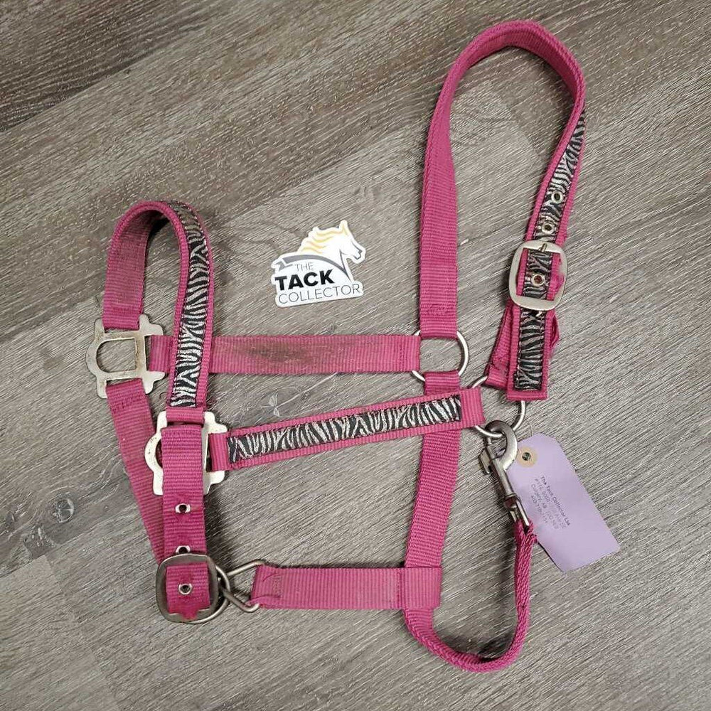 Nylon Halter, adj, snap *gc, dirty, frays, slice/frayed, rust, snags