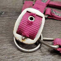 Nylon Halter, adj, snap *gc, dirty, frays, slice/frayed, rust, snags
