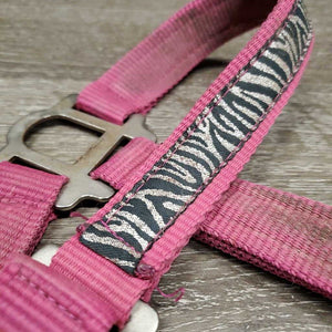Nylon Halter, adj, snap *gc, dirty, frays, slice/frayed, rust, snags