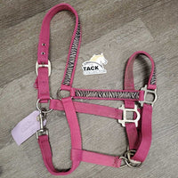 Nylon Halter, adj, snap *gc, dirty, frays, slice/frayed, rust, snags
