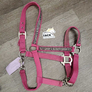 Nylon Halter, adj, snap *gc, dirty, frays, slice/frayed, rust, snags