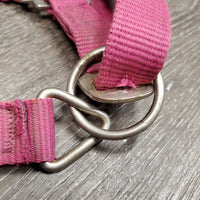 Nylon Halter, adj, snap *gc, dirty, frays, slice/frayed, rust, snags