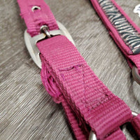 Nylon Halter, adj, snap *gc, dirty, frays, slice/frayed, rust, snags
