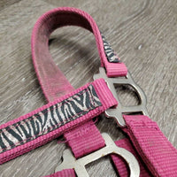 Nylon Halter, adj, snap *gc, dirty, frays, slice/frayed, rust, snags

