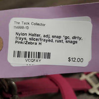 Nylon Halter, adj, snap *gc, dirty, frays, slice/frayed, rust, snags