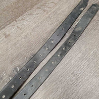 Pr Biothane Stirrup Leathers *vgc, mnr dirt, film, faded & xholes