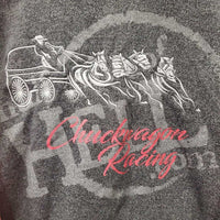 Hvy Sweatshirt Hoodie "Chuckwagon Racing" *vgc, mnr clumpy inside