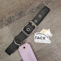 Thick Nylon Dog Collar *gc, dirty, faded
