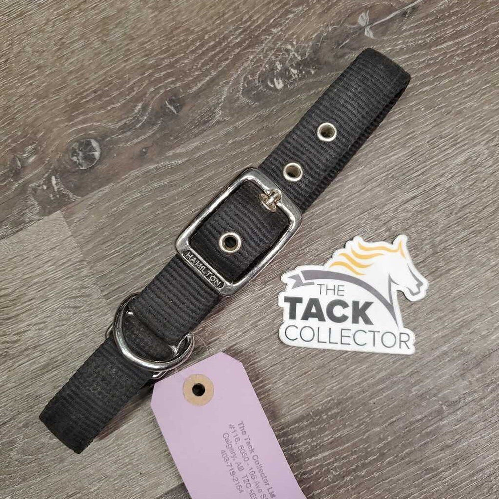 Thick Nylon Dog Collar *gc, dirty, faded