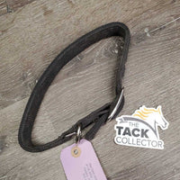 Thick Nylon Dog Collar *gc, dirty, faded
