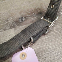 Thick Nylon Dog Collar *gc, dirty, faded

