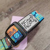 "Best Friend" Ribbon & Nylon Web Adjustable Dog Collar *vgc, clean, mnr dusty?
