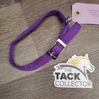 Soft Light Nylon Dog Collar *xc, clean, mnr frayed hole