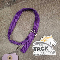 Soft Light Nylon Dog Collar *xc, clean, mnr frayed hole